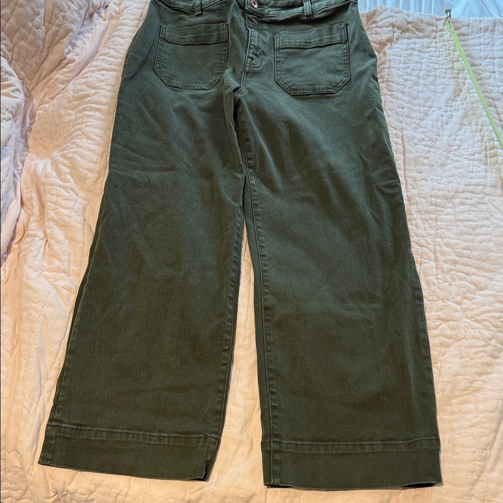 The Marine Crop Sanctuary Los Angeles Denim wide Leg Jeans 31 Olive Green